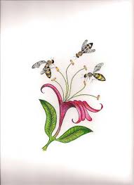 Tattoo Oh Tattoo Honey Suckle Tattoo Art Design Honeysuckle Tattoo Calla Lily Tattoos Tattoos