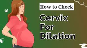 The instructions say that dilation is measured by the finger tip so if you can fit one finger tip in your dialated 1cm and so on, well i could fit two in that opening so this morning i check again and now it feels like i could fit three in the opening but my fingers aren't log enough for me to. How To Check Your Cervix For Dilation 4 Easy Steps Youtube