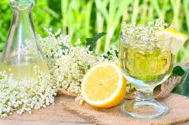 So einfach stellst du gesunde limo rezepte ohne zucker selbst her! Rezept Leckere Holunderlimonade Einfach Selber Machen