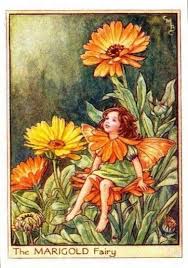 Pin On Flower Fairies