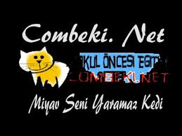Miyav Seni Yaramaz Kedi Cocuk Sarkilari Dailymotion Video
