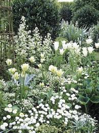 A Moon Garden All The White Flowers And Silvery Gray Foliage Reflect The Light Of The Moon White Gardens Moon Garden Beautiful Gardens
