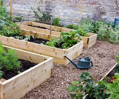 We've got the best vegetable growing guide for you! Your Quick Guide To Planting Vegetables In October Nz