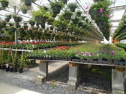Garden nursery advice, the site which brings you a wealth of information about landscaping your garden, with handy hints and top tips from the experts. Start Your Own Plant Nursery For Profit Business Plan Sample Makeinbusiness Com
