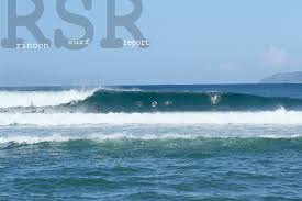 surfs up lazy parrot inn puerto rico