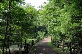 さいたま市/埼玉県/秋葉の森総合公園/BBQ/バーベキュー/レンタル/手ぶら/配達/紅葉/花見