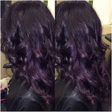25 Purple Highlights On Black Hair Without Bleach Beatifull Dark Purple Hair Hair Styles Hair Color Purple