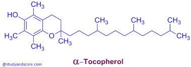 Any vitamin e your body does not need immediately is stored for future use, so you do not need it in your diet every day. Vitamin E Tocopherol Sources Deficiency And Functions Study Score