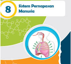 We did not find results for: Rangkuman Materi Ipa Kelas 8 Bab 8 Portal Edukasi