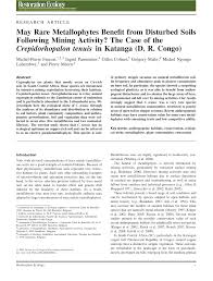 Image result for Crepidorhopalon rupestris