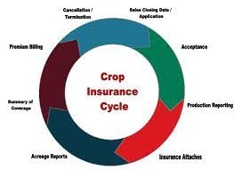 Our contract with the home builder allowed him 3 votes per open lot but again he has changed the. Crop Insurance Cycle Ag360 Insurance