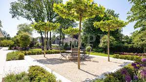 Jobs von bfw garten und landschaftsbau gmbh. Gartenbau Landschaftsbau Gempp Gartendesign