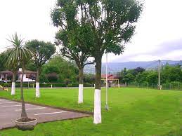 Check spelling or type a new query. Comuniones 2020 Restaurante La Carbayera