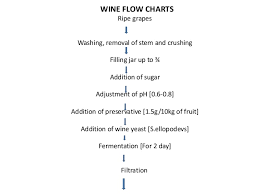 Wine Production Flow Charts Related Keywords Suggestions