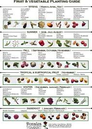 growing herbs chart when to plant vegetables chart http