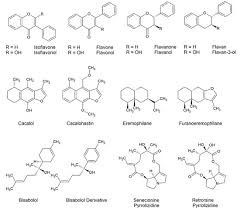 Image result for Senecio speciosus