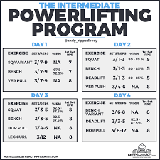 the intermediate powerlifting program rippedbody com