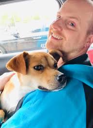 Lost dog found near church in Woodville