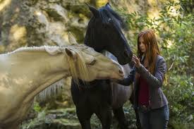 Ypsillon Ameno Mit Bildern Ostwind Ostwind Film Pferdeliebe