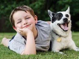 Petplan covers up to 90% of vet bills from unexpected injuries and illnesses, including viruses like. Insurance Plans For Usf Alumni Life Health Travel More