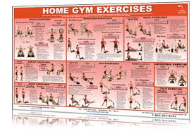 York Home Gym Exercise Chart Home Gym Workout Routines With