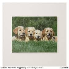 Check spelling or type a new query. Golden Retriever Puppies Jigsaw Puzzle Goldenretriever Goldenretrieverpuppy Dogs Puppies Puzzle Cute Baby Animals Golden Labrador Puppies Golden Retriever