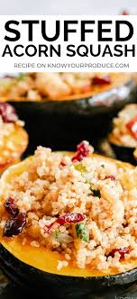 Stuffed Acorn Squash With Quinoa Cranberry Stuffing Vegan Nut Free And A Gluten Free Main Course Acorn Squash Vegetarian Recipes Vegetable Recipes