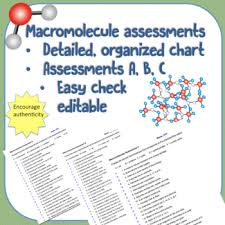 Biology Macromolecule Assessments With Chart