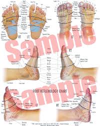 Foot And Hand Reflexology The Tennent Technique Foot