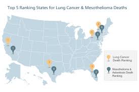 Learn the symptoms, prognosis and treatment options for malignant mesothelioma. Mesothelioma Vs Lung Cancer Differences Symptoms Treatment