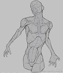 See more ideas about drawing reference, art, anatomy. Male Anatomy For Artist Google æ¤œç´¢ Human Anatomy Art Anatomy Reference Anatomy Drawing