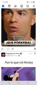 Pon lo que vió Mickey