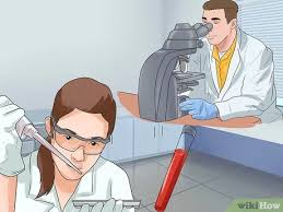 With ai there is no physical interaction between stud and bitch, eliminating any chances of behavioral mishaps. How To Artificially Inseminate A Dog 9 Steps With Pictures