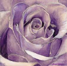 Purple Rose By Portraits By Nc In 2021 Rose Painting Flower Painting Purple Art