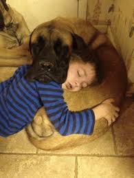 Pin On Kids And Pets