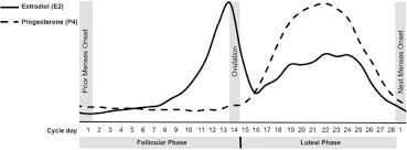 How To Study The Menstrual Cycle Practical Tools And Recommendations Sciencedirect