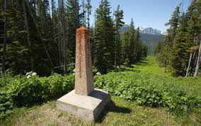 In diameter vested in a pale gray scalyridged bark. The Entirety Of The 8 891 Km Land Border Between Canada And The U S Is Marked By A 6 M Slash Where No Trees Are Allowed To Grow 9gag