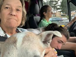 On April 24th, 2024 A bunch of Barbra fans met up at the Barbra Streisand  Heart Health Center at Cedar Sinai in LA and gave them a check for  $24,424.24 (Barbra's fave