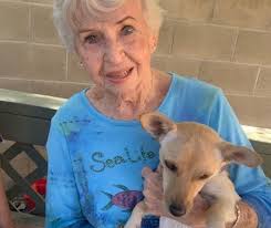 Check out this cutie. This is Fanny and she is a 5-year-old, 10-pound  bundle of joy. She is spayed, vaccinated, microchipped and ready to be  adopted by you! You can fill out