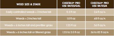 What are the pros and cons of these foods? Cheetah Pro Us Turf