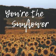 You Re The Sunflower You Can Find This Iphonewallpaper And Over 1000 Other Cute Backgrounds O Post Malone Quotes Post Malone Wallpaper Sunflower Quotes