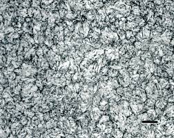Image result for bulat steel micrograph