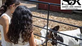 Trick-or-Treat in the WILD at Sandy Oak Ranch