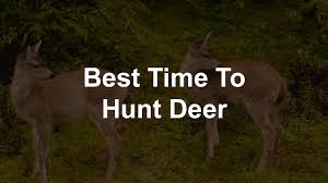 Best Time To Hunt Deer Best Laptop