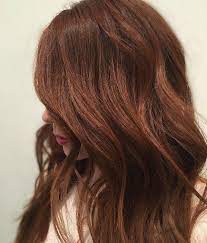 warme braune haarfarben haarfarben brauntone haarfarben haarfarbe braun