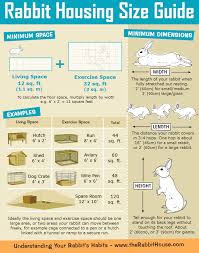 Rabbit Hutch Cage Size Guide Minimum Requirements