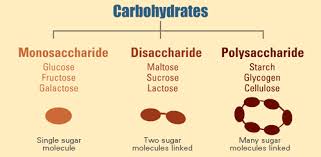 Monosaccharide Disaccharide And Polysaccharide Carbohydrates Nursing Mnemonics Healthy And Unhealthy Food