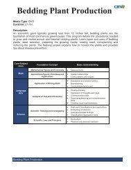 Wedding arrangements worksheet answers icev : Vocabulary Handout Icev