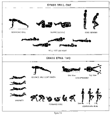 Exercise Google Search Soccer Training Program Workout Plan Gym Workout Plan