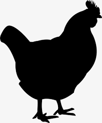 You can download in a tap this free chicken white transparent png image. Hen Png Clipart Chicken Black Transparent Png 7944081 Png Images On Pngarea